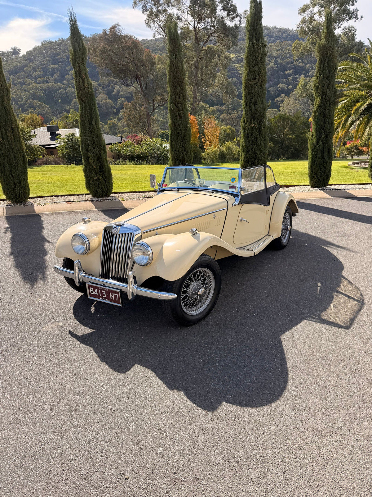 1954 MG TF